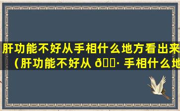 肝功能不好从手相什么地方看出来（肝功能不好从 🕷 手相什么地方看出来的）